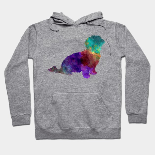 Havanese in watercolor Hoodie by PaulrommerArt